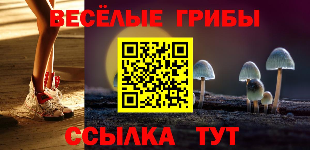 Галлюциногенные грибы Psilocybe Усть-Кут