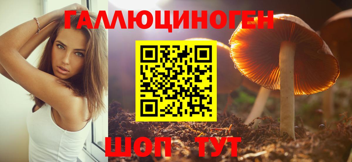 Усть-Кут  Псилоцибиновые грибы Magic Shrooms  Вход с VPN  Галлюциногенные грибы Cubensis 